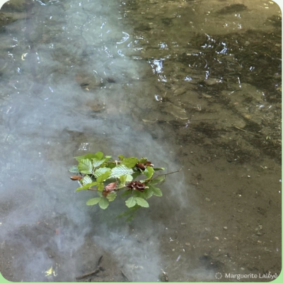Ateliers pratiques en nature avec Marguerite Laleye